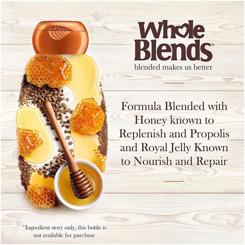 Garnier Whole Blends, Honey Treasures Repairing Shampoo, 12.5 fl oz Pack of 2