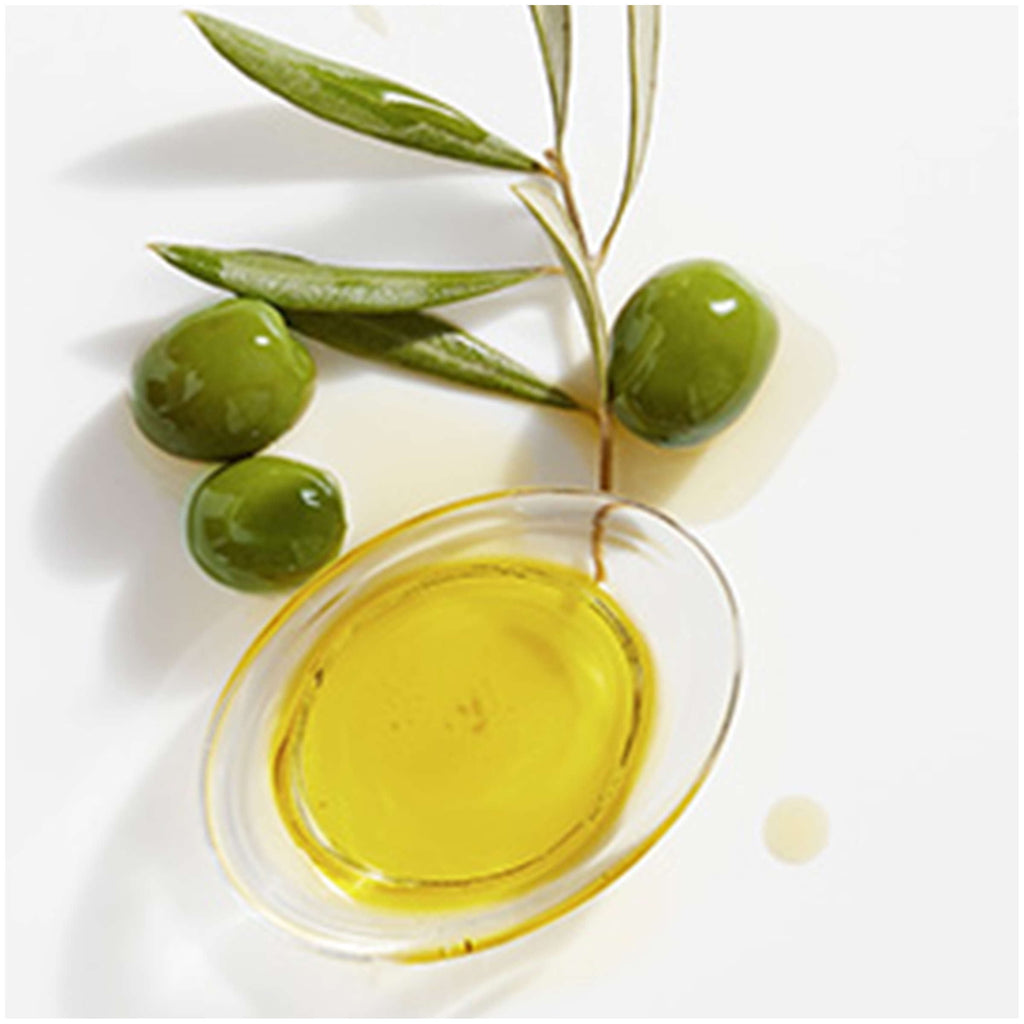 Garnier Whole Blends Leave-In Conditioner Legendary Olive, For Dry Hair, 10.2 fl. oz.