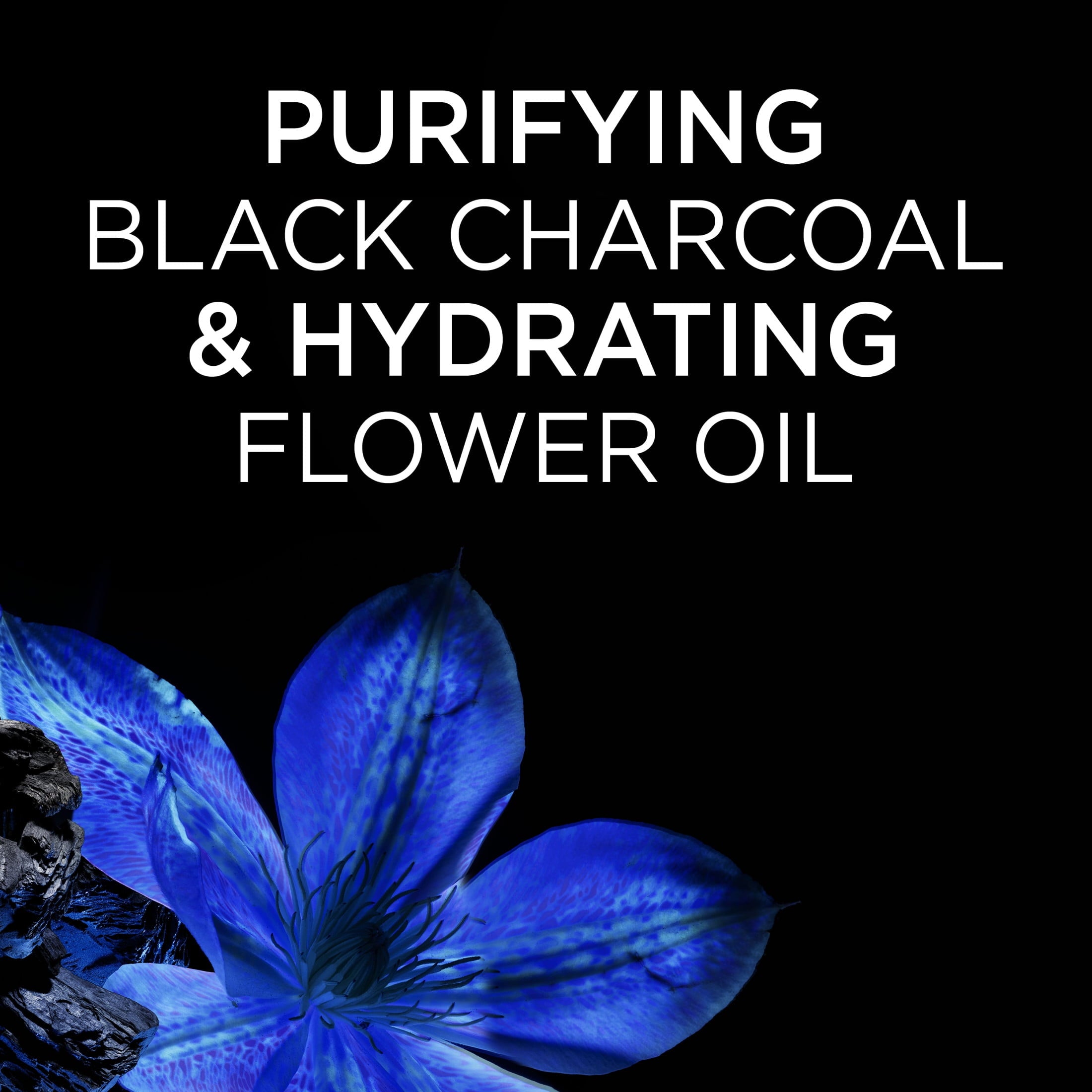 Garnier Whole Blends Rebalancing Cleansing Shampoo with Black Charcoal, All Hair Types, 26.6 fl oz